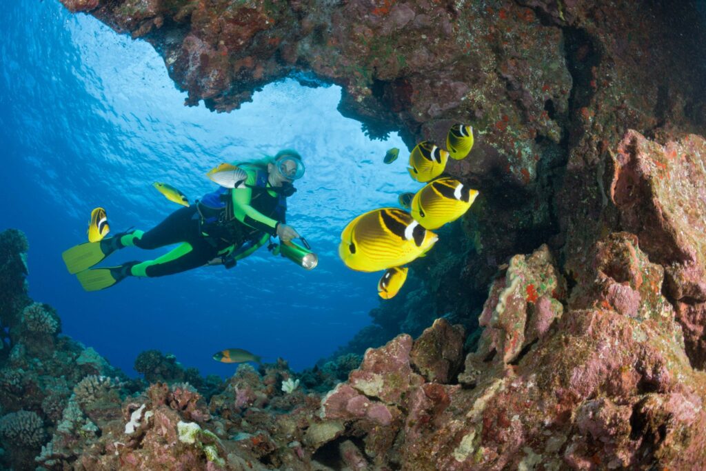 skuba diving hawaii