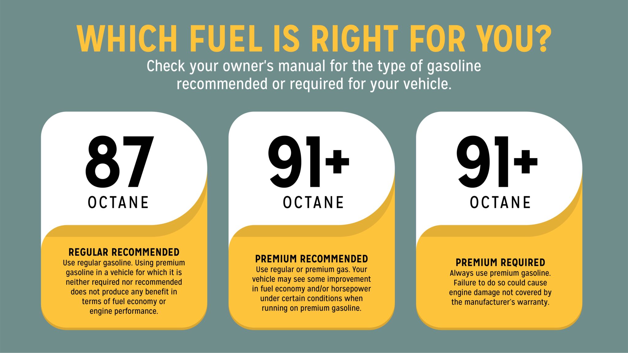 Which fuel is right for you infographic