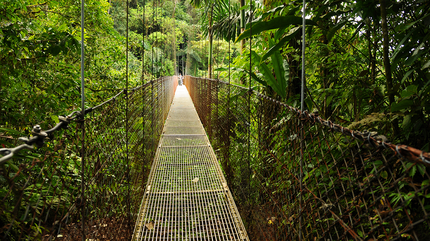 Costa Rica Adventure in Rainforest